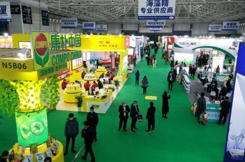 国产二十一区,二十一区影视产业的崛起与展望